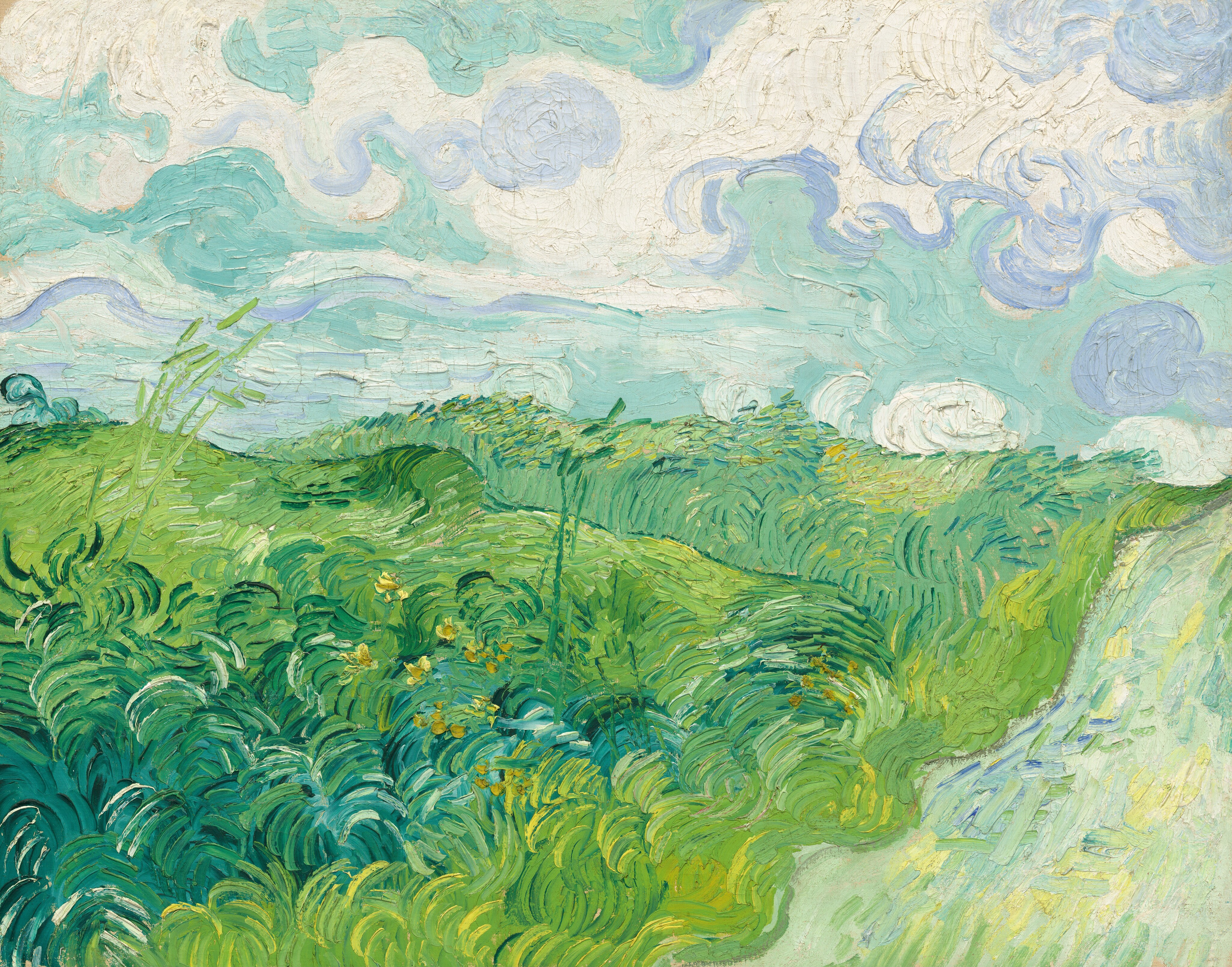 Green Wheat Fields at Auvers by Vincent van Gogh, 1890